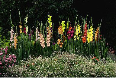 《我们之中》PS＆Xbox版延期发售 但仍计划年内发行